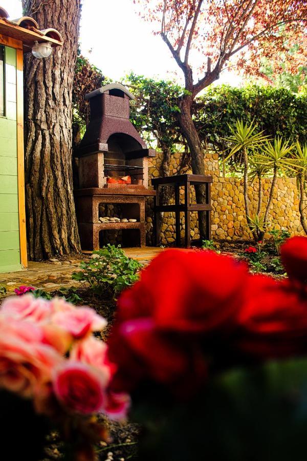 La Casa Di Nonno Giulio Bed & Breakfast ปอร์โต ซันเตลปีดิโอ ภายนอก รูปภาพ