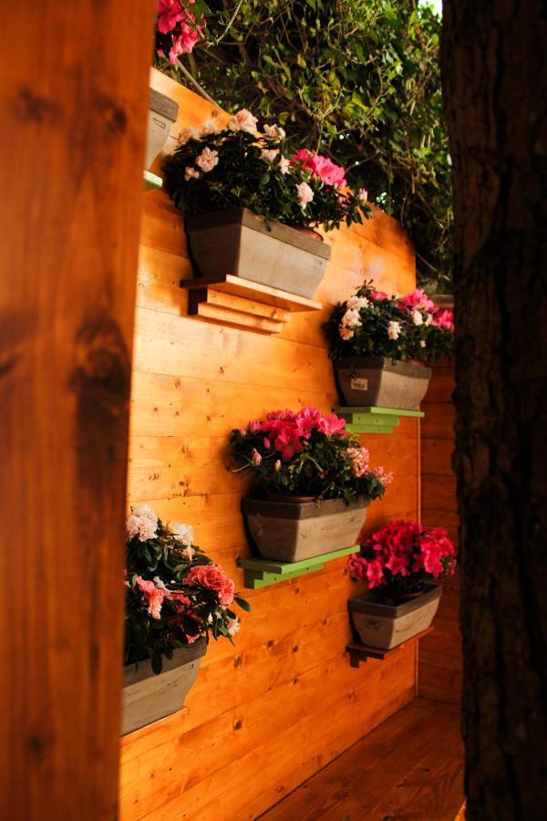 La Casa Di Nonno Giulio Bed & Breakfast ปอร์โต ซันเตลปีดิโอ ภายนอก รูปภาพ