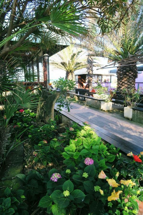 La Casa Di Nonno Giulio Bed & Breakfast ปอร์โต ซันเตลปีดิโอ ภายนอก รูปภาพ