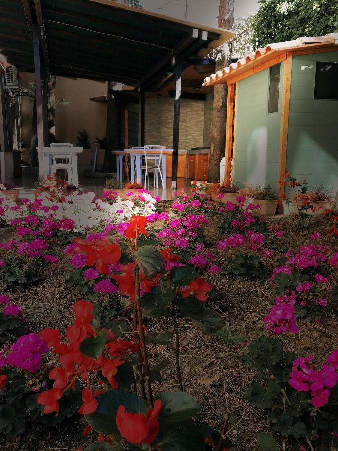 La Casa Di Nonno Giulio Bed & Breakfast ปอร์โต ซันเตลปีดิโอ ภายนอก รูปภาพ